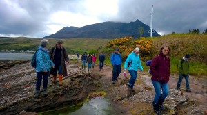 Galloway wild foods foraging forage scotland Scottish food and drink Glasgow blog