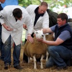 Royal highland show Edinburgh food drink Glasgow blog