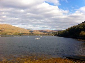 marine harvest scottish salmon