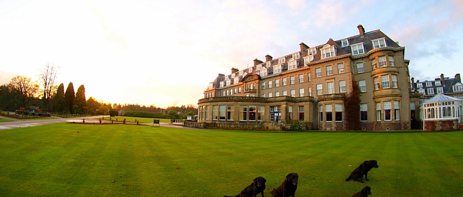 Gleneagles hotel Perthshire scotland gun dog