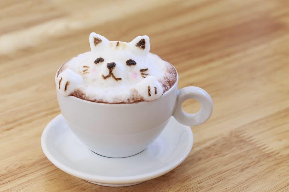 Cat cafe Glasgow