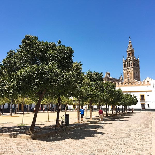 Courtyard of oranges, Seville