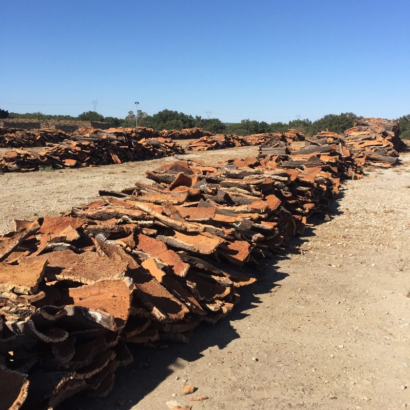 Alentejo Portugal cork 