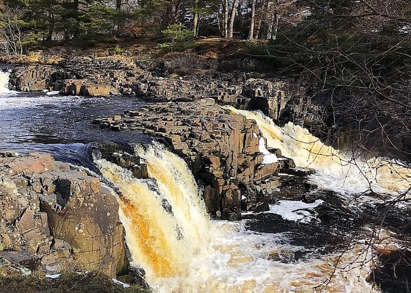 Bowlees north Pennines AONB Durham