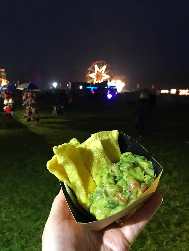 Electric Fields Music Festival Galloway Scotland Food