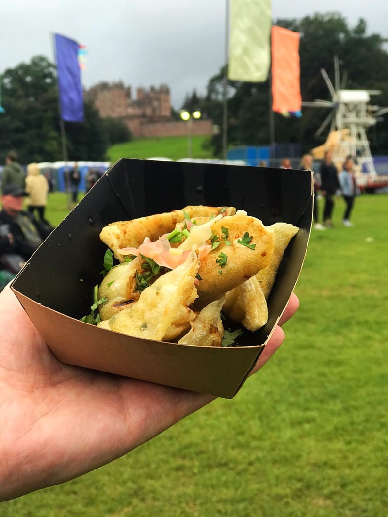 Electric Fields Music Festival Galloway Scotland Food