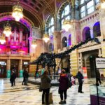 Dippy diplodocus Glasgow kelvingrove Museum and Art Gallery