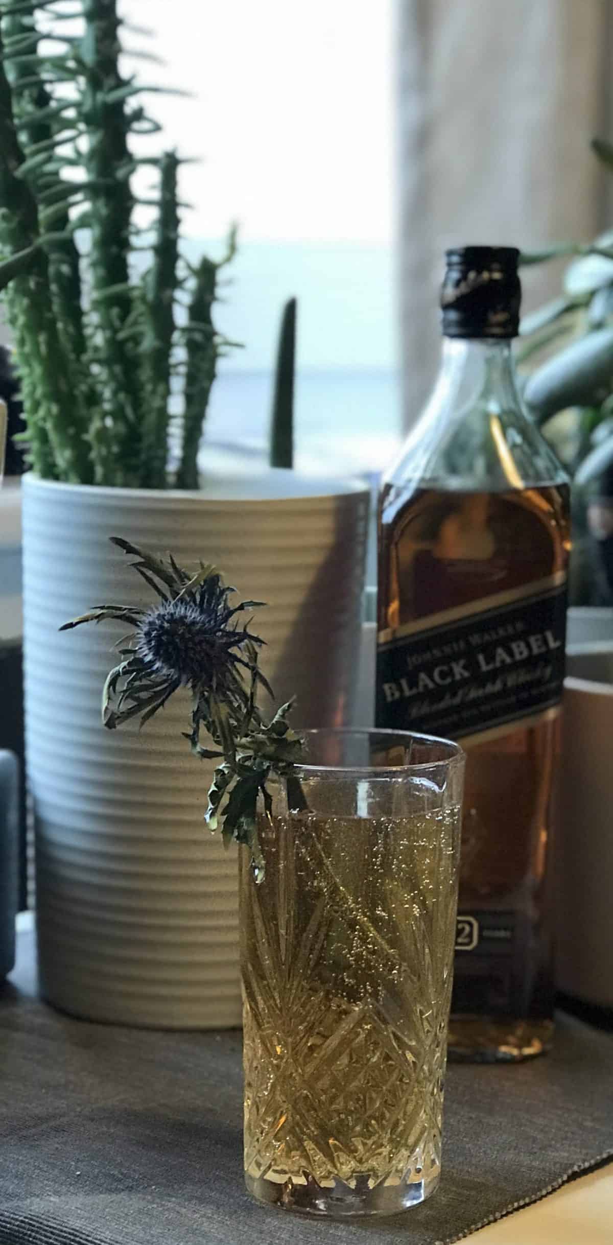 johnnie walker black label scottish highball cocktail