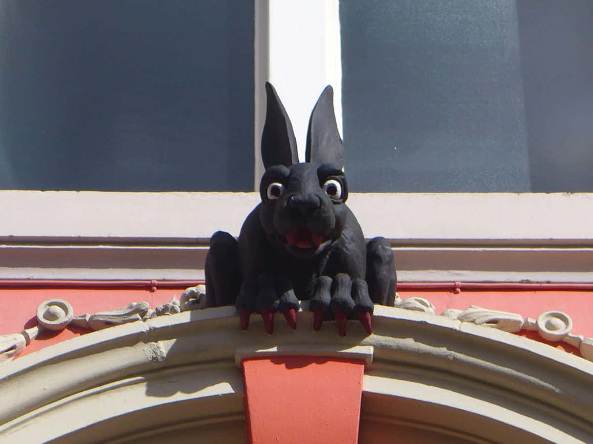 Vampire Rabbit Newcastle