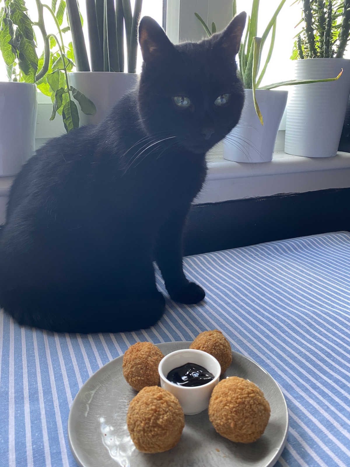 fred sitting with duck bon bons from Red Onion