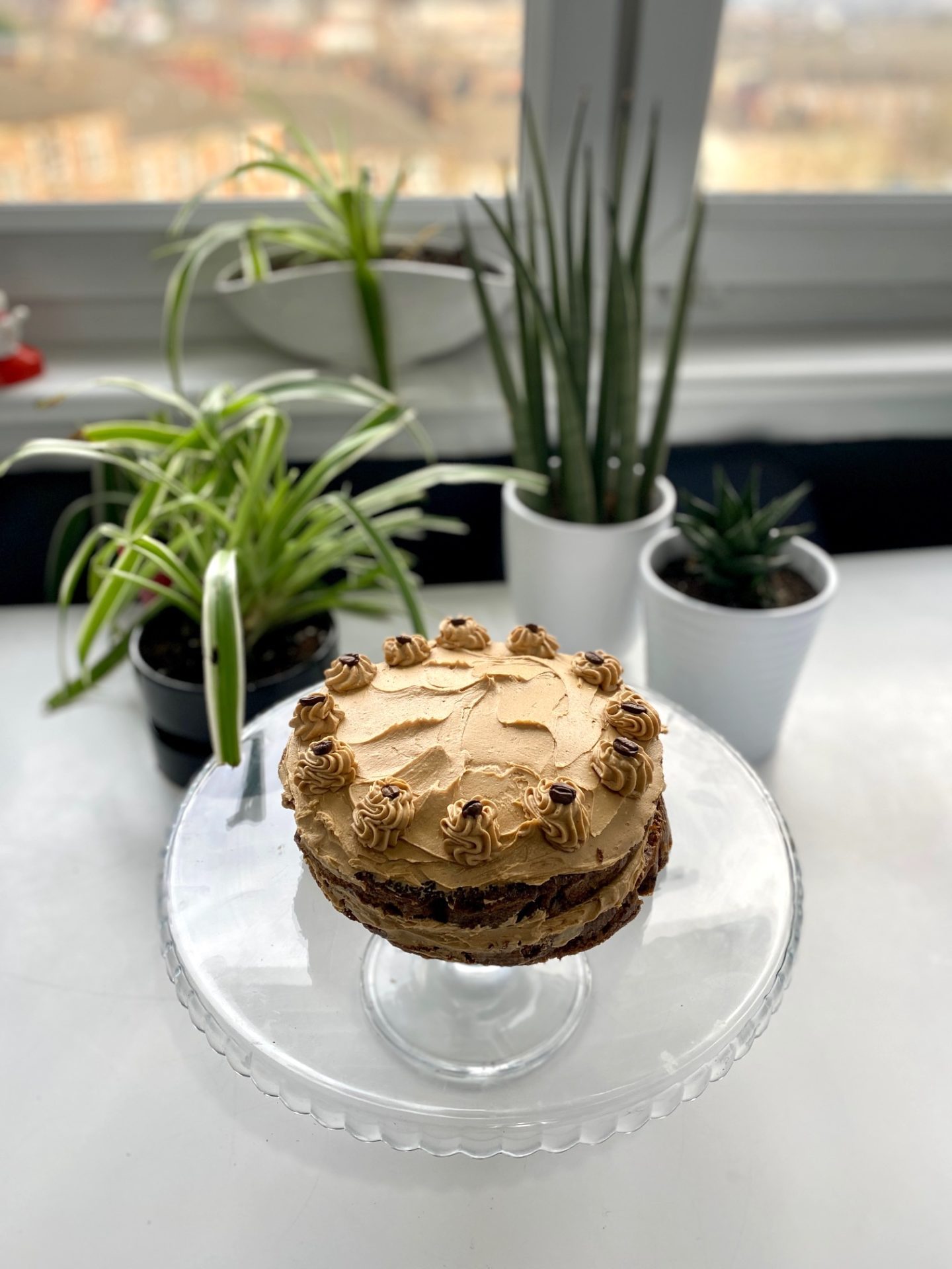 Three-Layer Chocolate Cake with Irish Coffee Frosting Recipe