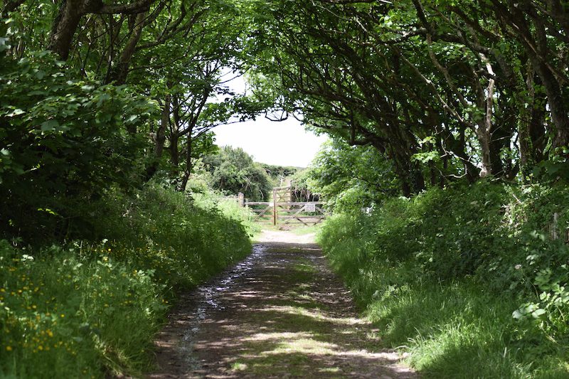 morwenstow cornwall