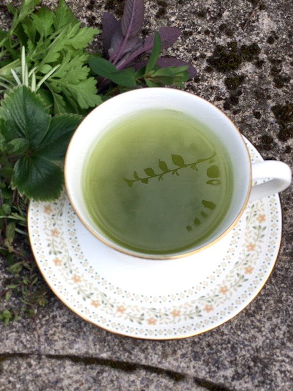 spring tea cup leaves