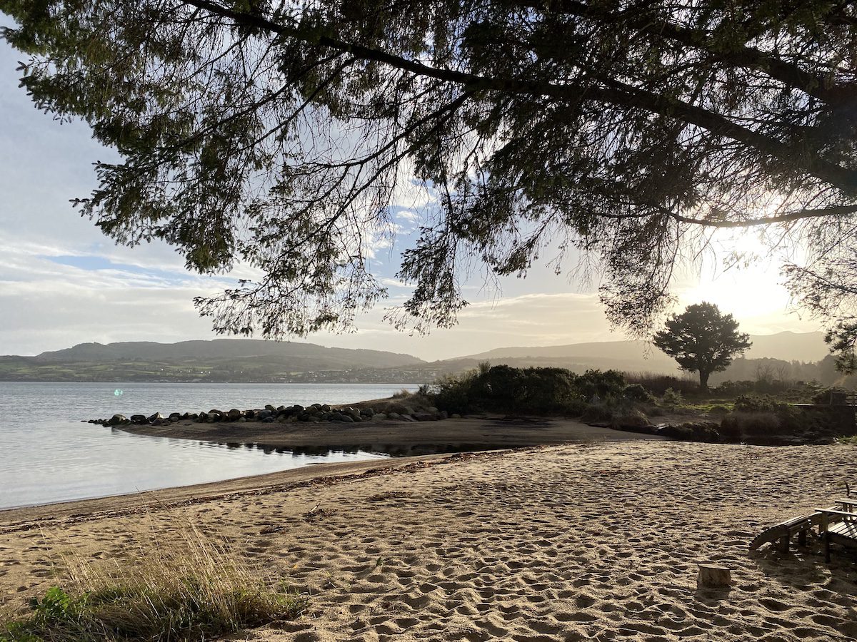 beach at Arran botanicals