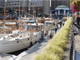 St Katherines Dock sailing festival