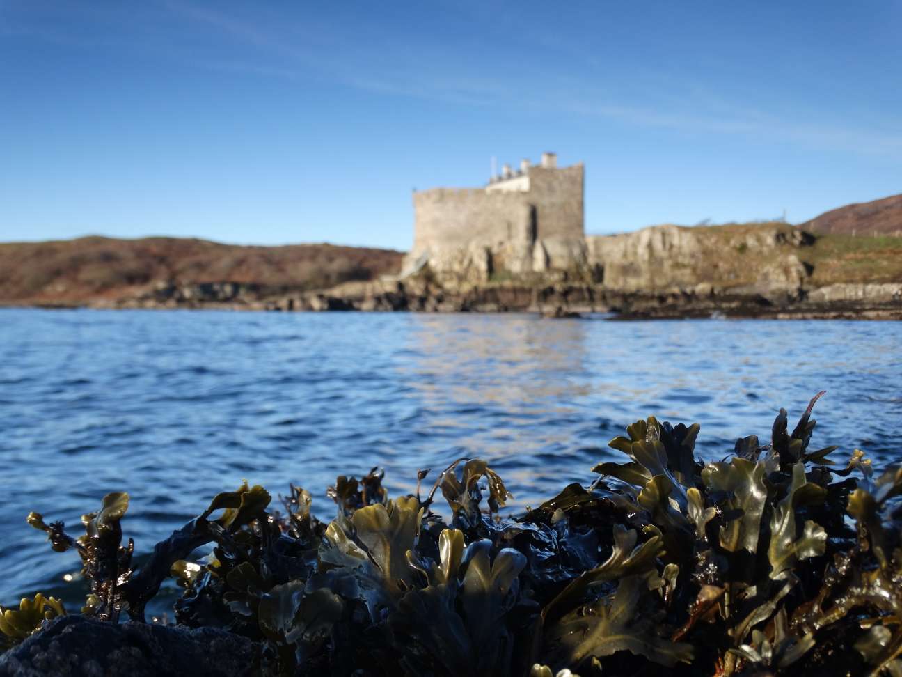 Mingary Castle awarded AA Restaurant with Rooms of The Year Scotland ...