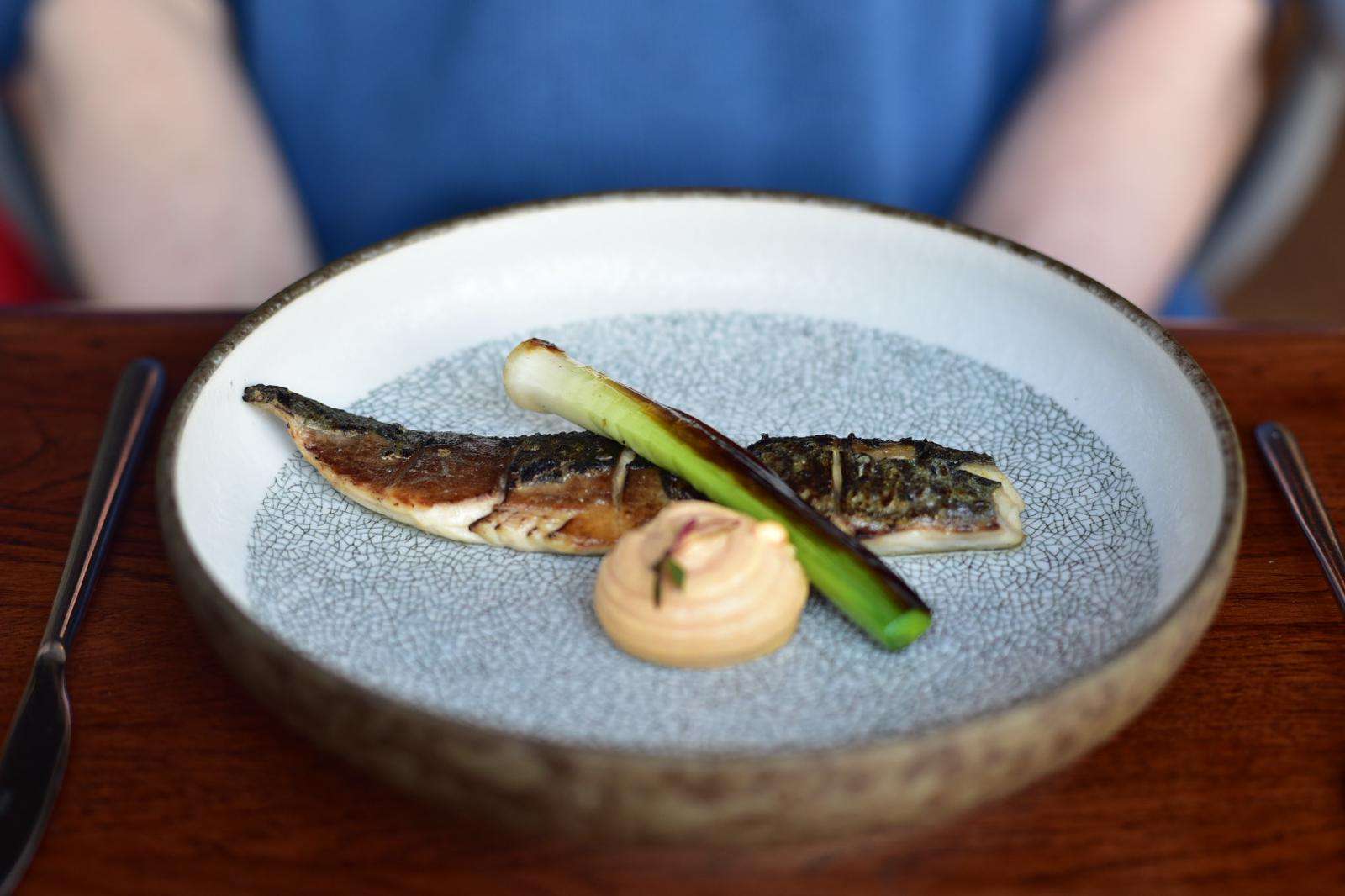 Scorched Peterhead mackerel, rouille and Grelot onion.