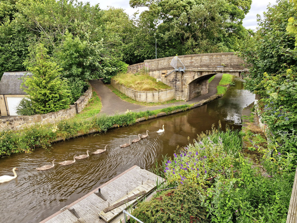 bridge inn ratho swan family